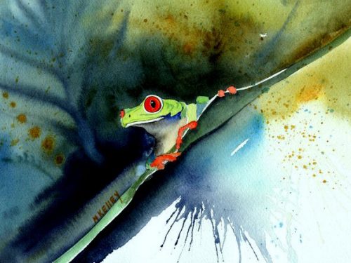 FROG PEAKING OVER LEAF