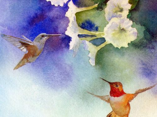 HUMMINGBIRDS ON PETUNIAS