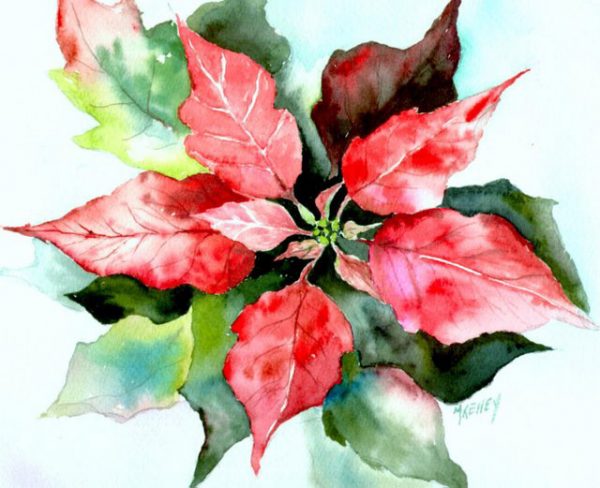 POINSETTIA