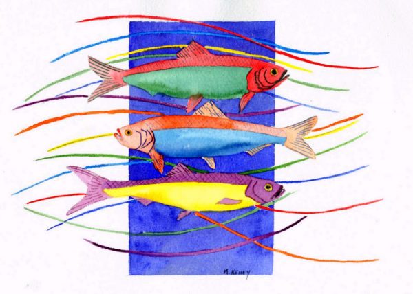 CONFETTI HERRING