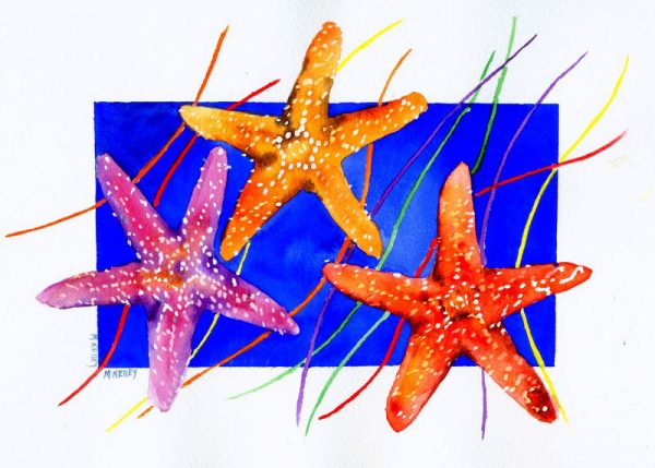 CONFETTI STARFISH