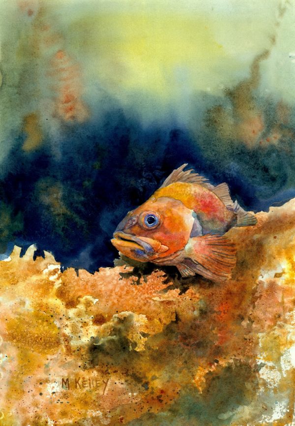VERTICAL ROCKFISH