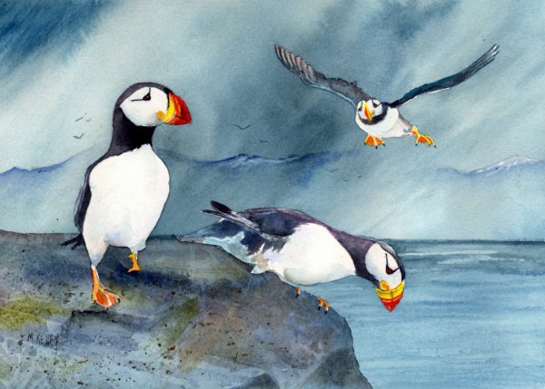 PUFFINS ON THE ROCKS
