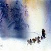 Mushing