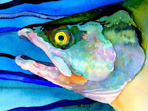 SQUARE RIGGED SALMON